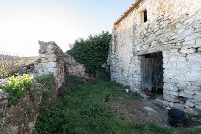 /international/es/mas-de-barberans-catalonia-310109128730/