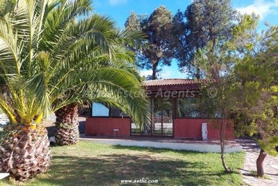 /international/es/san-jose-de-los-llanos-canary-islands-120095035215/