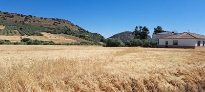 /international/es/ronda-andalusia-310101375738/?lang=zh-tw