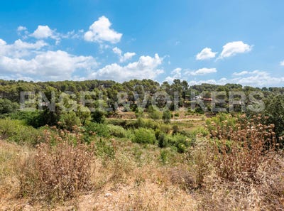 /international/es/rubi-catalonia-310094936566/