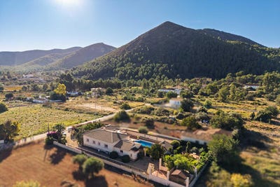 /international/es/jalon-valencian-community-310104172876/