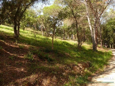 /international/es/santa-cristina-d-aro-catalonia-310094936169/