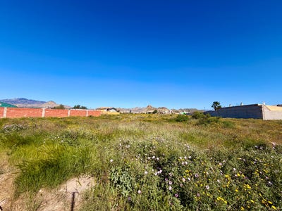 /international/es/diseminados-acebuche-archena-region-of-murcia-310107973485/
