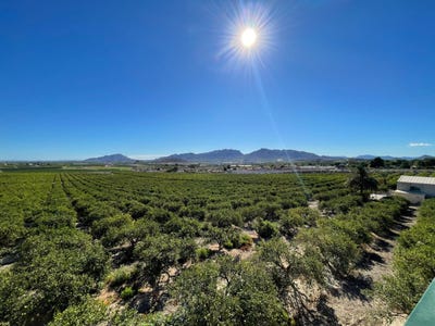 /international/es/murcia-mu-murcia-region-of-murcia-310109175516/