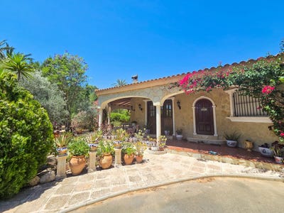 /international/es/elche-a-elche-valencian-community-310108920796/?lang=es
