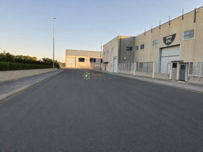 /international/es/palmera-valencian-community-310108400718/