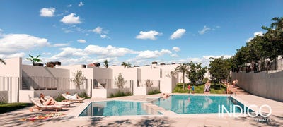 /international/es/elche-elx-valencian-community-310098267265/