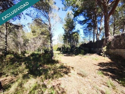 /international/es/alfara-de-la-baronia-valencian-community-310109688310/