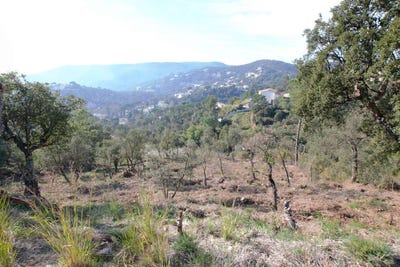 /international/es/calonge-girona-catalonia-310106969260/