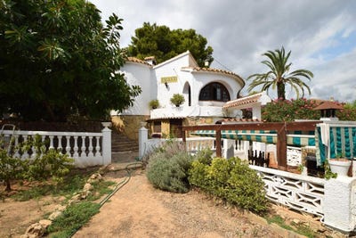 /international/es/l-alfas-del-pi-valencian-community-310101016012/?lang=en