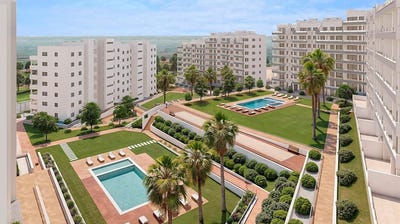 /international/es/san-miguel-de-salinas-valencian-community-310100740429/
