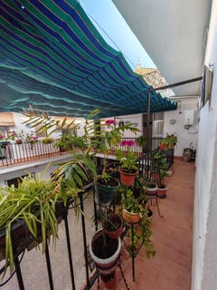 /international/es/ecija-andalusia-310108105490/