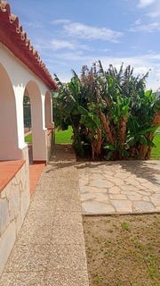 /international/es/espana-la-linea-de-la-concepcion-andalusia-310107905451/