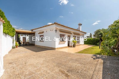 /international/es/palomares-del-rio-andalusia-310100954560/