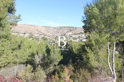 /international/es/javea-xabia-valencian-community-310101472550/