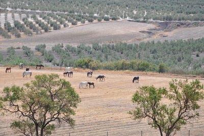 /international/es/la-puebla-de-cazalla-andalusia-120077317366/?lang=zh-cn
