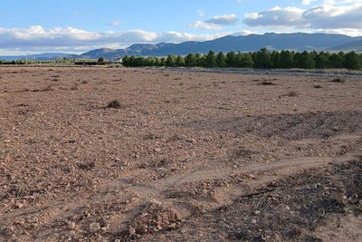 /international/es/yecla-region-of-murcia-310107088743/
