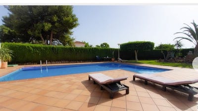 /international/es/elche-valencian-community-310106389439/