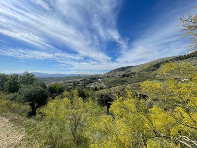 /international/es/viznar-andalusia-310101354447/