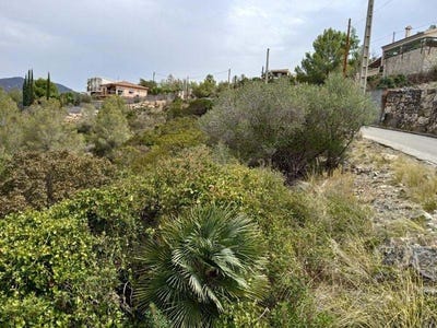 /international/es/olivella-catalonia-310108421075/