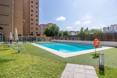 /international/es/sevilla-capital-andalusia-310100639171/