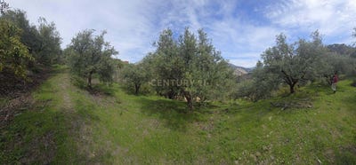 /international/es/guajares-los-andalusia-310106824776/