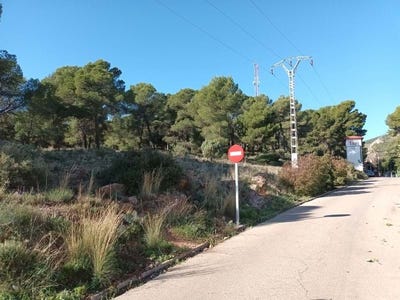 /international/es/serra-valencian-community-310105828390/