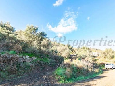 /international/es/torrox-andalusia-310100741191/