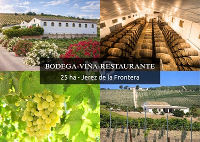 /international/es/carretera-del-calvario-jerez-de-la-frontera-andalusia-310107704258/