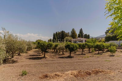 /international/es/zubia-la-andalusia-310100179598/