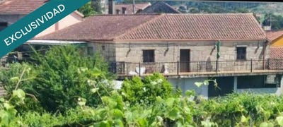 /international/es/arbo-galicia-310101274396/