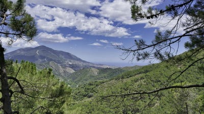 /international/es/coin-andalusia-310101418447/?lang=zh-tw