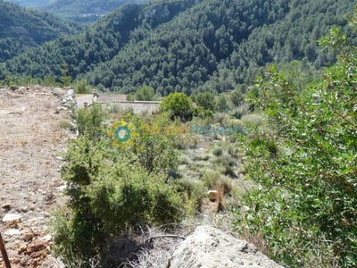 /international/es/oliva-valencian-community-310107738174/