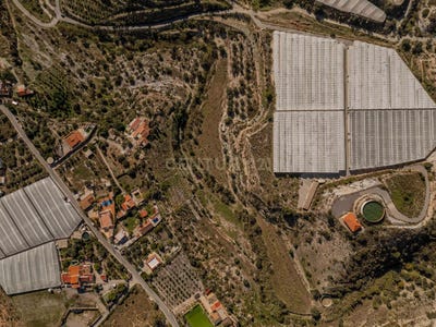 /international/es/motril-andalusia-310103538244/