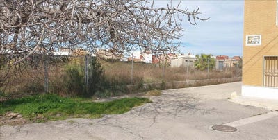 /international/es/sueca-valencian-community-310105829520/