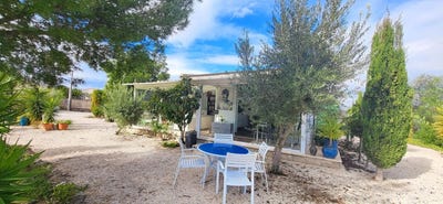 /international/es/aspe-valencian-community-310108899692/