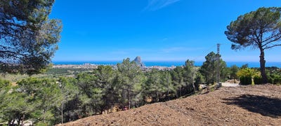 /international/es/calpe-valencian-community-310107560326/