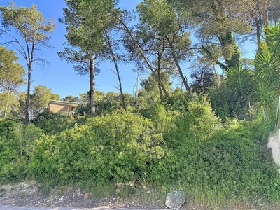 /international/es/olivella-catalonia-310107566580/