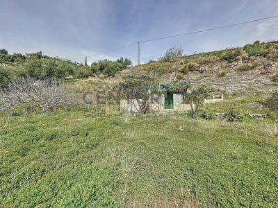 /international/es/algarrobo-andalusia-310097820458/