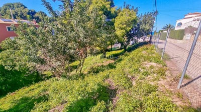 /international/es/denia-valencian-community-310107294922/