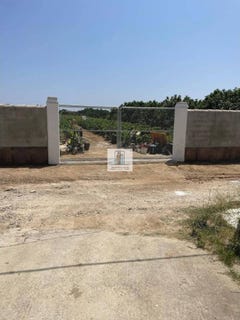 /international/es/marquesado-chiclana-de-la-frontera-andalusia-310108557097/