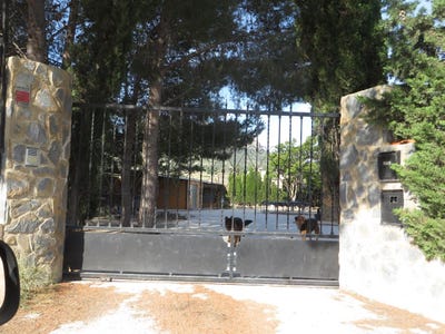 /international/es/elda-valencian-community-310110178864/