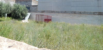/international/es/aielo-de-malferit-valencian-community-310100599069/