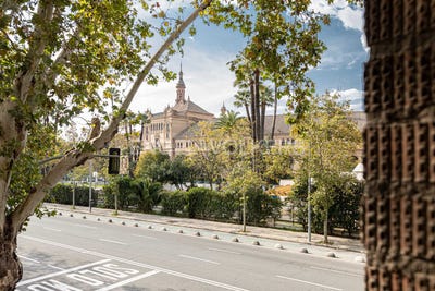 /international/es/sevilla-capital-andalusia-310100644653/