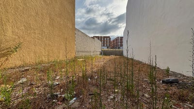 /international/es/alicante-valencian-community-310101108241/