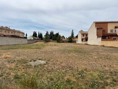 /international/es/churriana-de-la-vega-andalusia-310109172585/