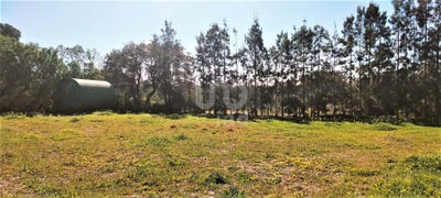 /international/es/huelva-andalusia-310099707411/
