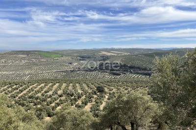 /international/es/santa-eulalia-jaen-andalusia-120084296097/