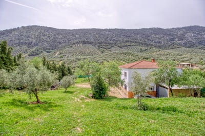 /international/es/ds-las-piedras-las-piedras-rute-andalusia-310108211607/