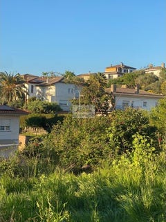 /international/es/lli-de-vall-catalonia-310107968463/